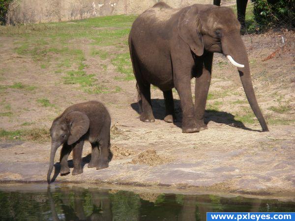 Mother and Daughter